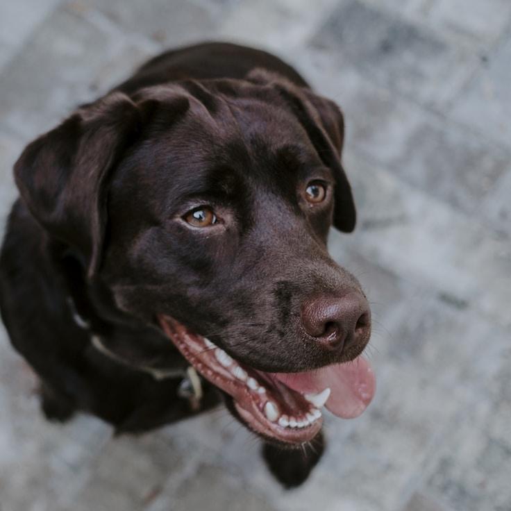 Alex Kim, Lead Design Curator at Meadow Quiet Studio, reviewing corporate floral arrangements